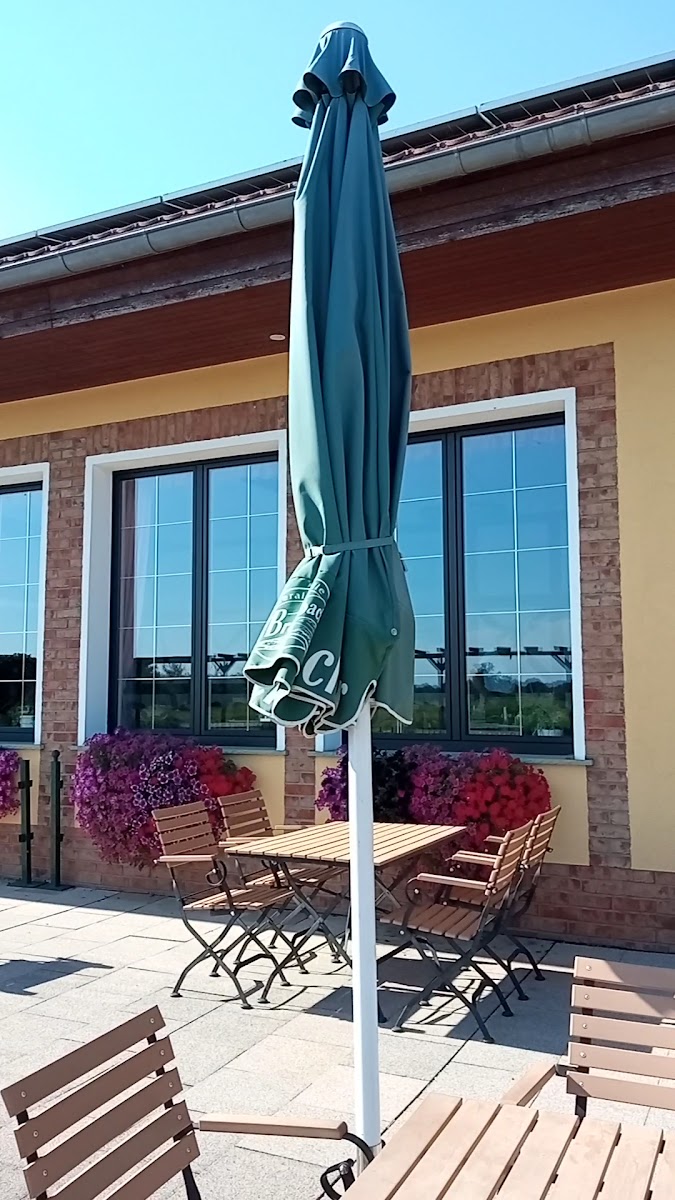 Elbterrassen Zu Brambach-2