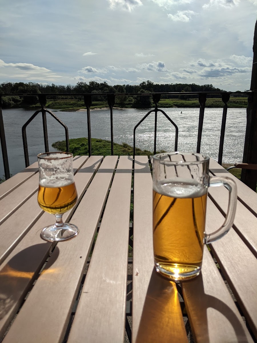 Elbterrassen Zu Brambach-6